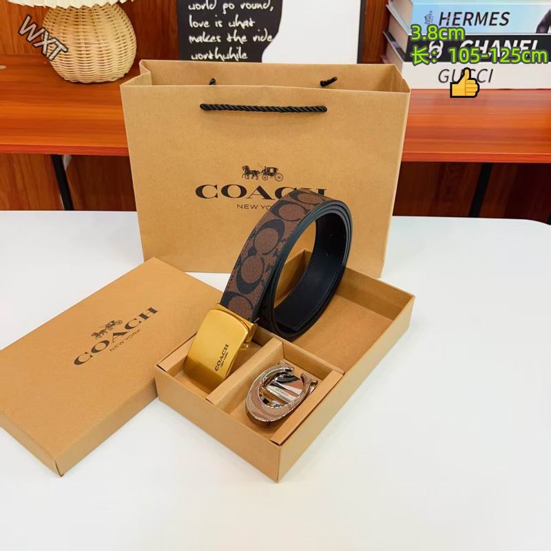Coach belt 38mmX105-125cm 8L24